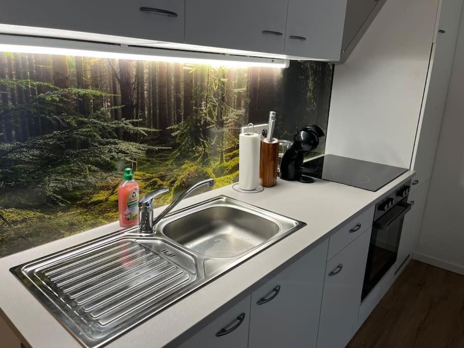 Gemuetliches 4Er Apartment In Skilift-Naehe Zell am See Zewnętrze zdjęcie